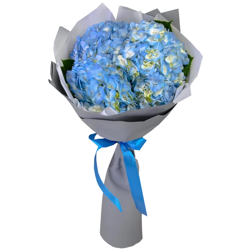 Букет из 3 синих гортензий