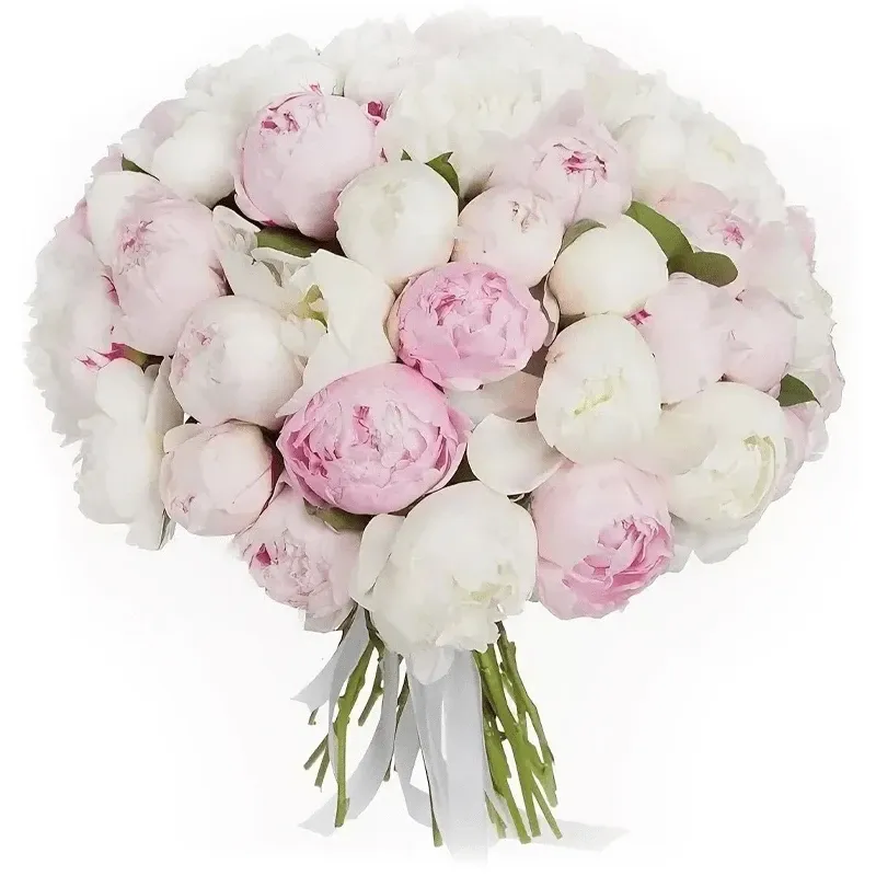Пионы бело-розовый микс